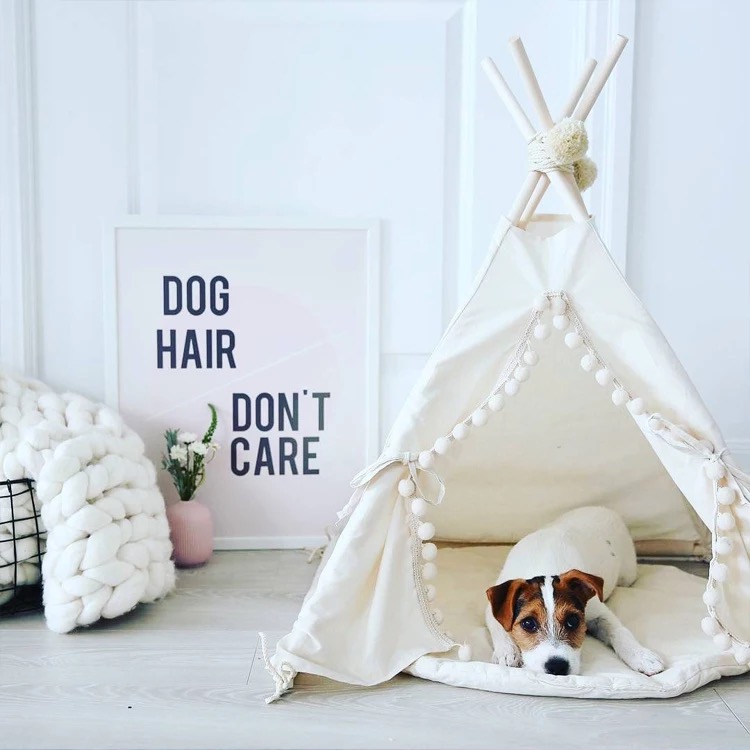 打造愛寵專屬空間 寵物衣架與收納架的魅力