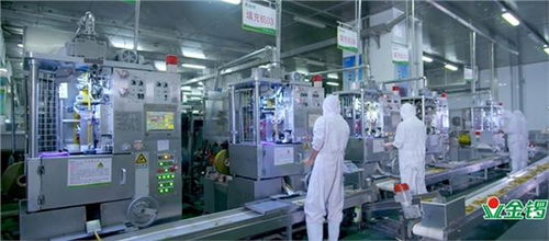 金鑼 誠信筑基,守護(hù)食品安全,引領(lǐng)健康美味